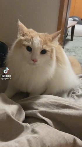 「1日構う時間がなかった日」