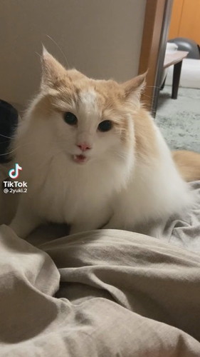 「1日構う時間がなかった日」