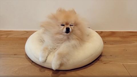 目を細めてる正面