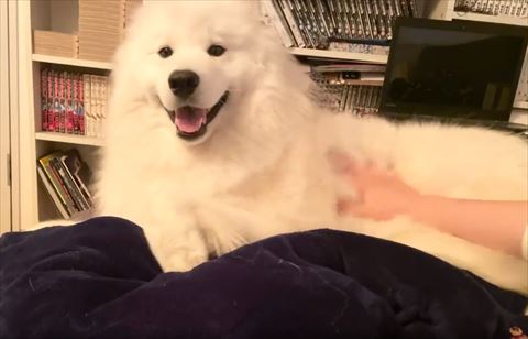 笑って前見てる