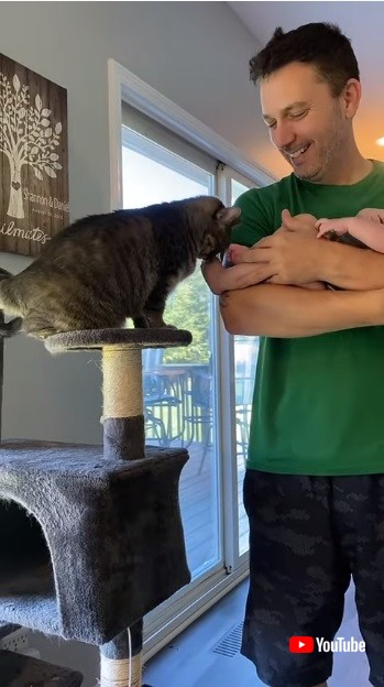 スリスリする猫と赤ちゃん