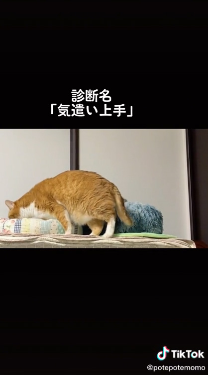 猫にまさかの診断名