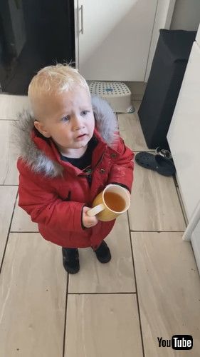 「Three-Year-Old's Hilarious Reaction to Seeing Sweets Cupboard || ViralHog」