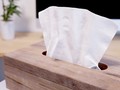 これは脳がバグる　“木で作ったティッシュペーパー”がどう見てもペラペラの紙