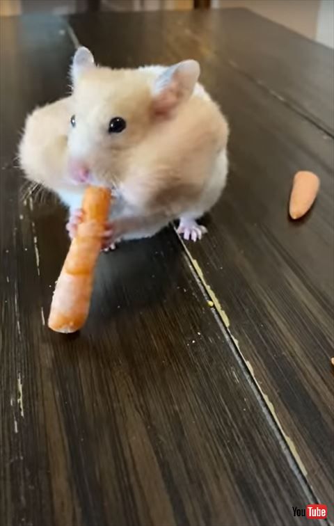 ニンジンほおぶくろにいれてる