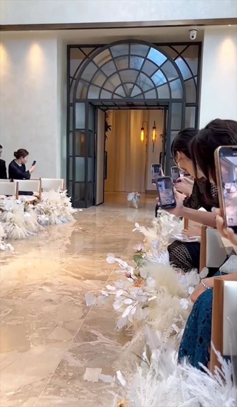 入場したワンコ