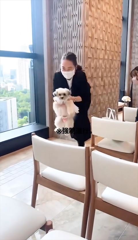 お姉さんに連れていかれる