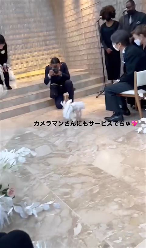 カメラマンさんの元にいくワンコ