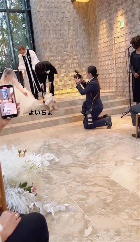 階段をのぼるワンコ