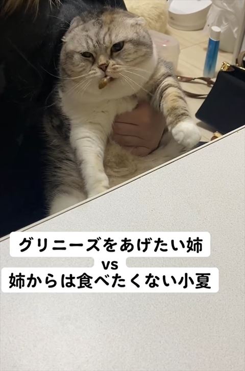 おやつを吐き出す