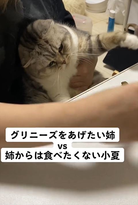 左前足あげてる