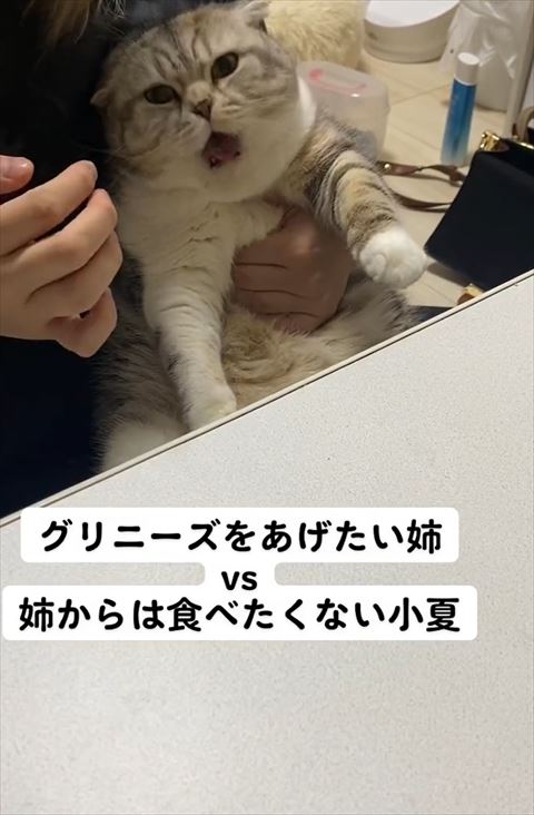 おやつ食べてる