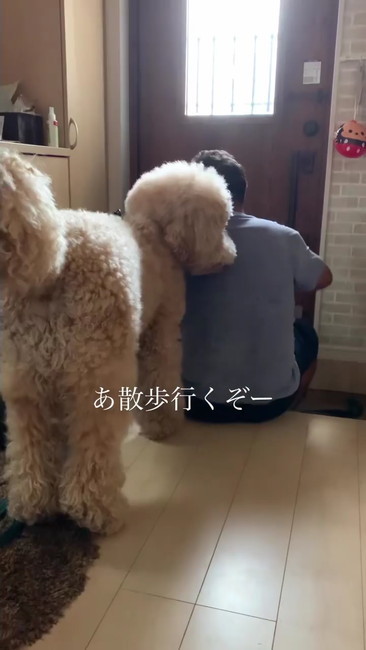 お散歩いくぞー