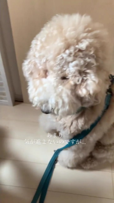 気がすすまない