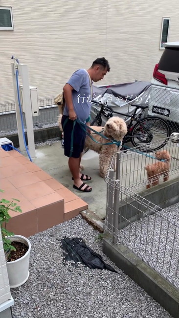 行かなきゃだめ？