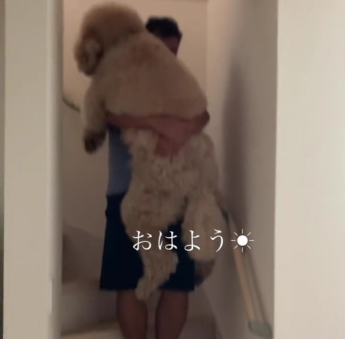 抱っこプー