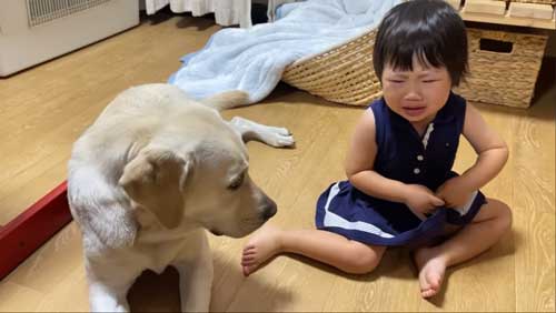 大型犬とお姉ちゃん