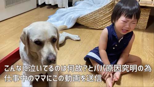 娘が泣いていた理由