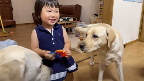 イヤイヤ期 娘 泣く 寄り添う 犬