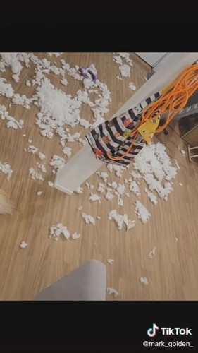 愛嬌で乗り切る犬