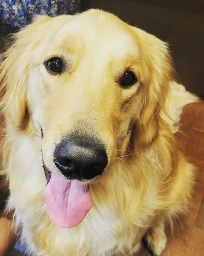 見つめるマークくん