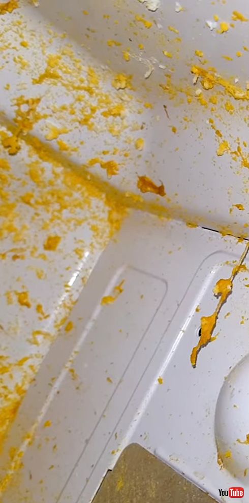 生卵を電子レンジであたためる（レンチン）と水蒸気爆発　Photo Owl Time Lapseの実験動画が衝撃的