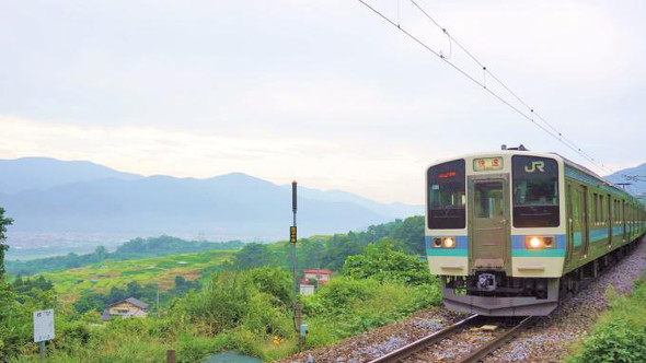 塩尻「とりめし」（700円）