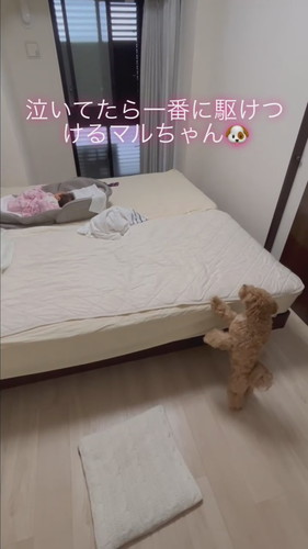 一番に駆け付けるマルちゃん