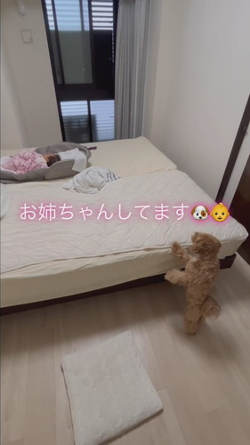 一番に駆け付けるマルちゃん