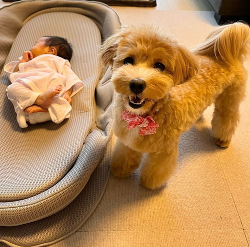 赤ちゃんとワンコ