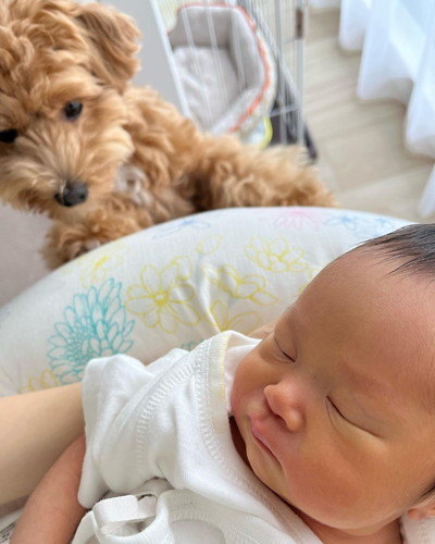 赤ちゃんとワンコ