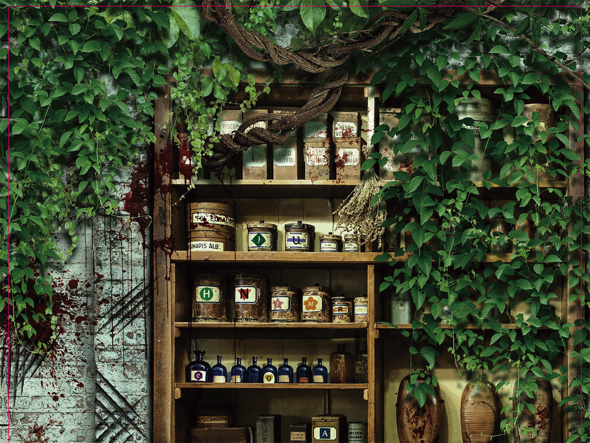 客室のイメージ