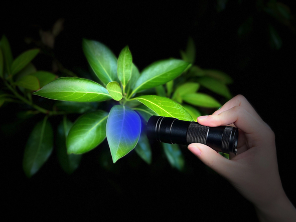 アイテムで観察しヒントをゲット