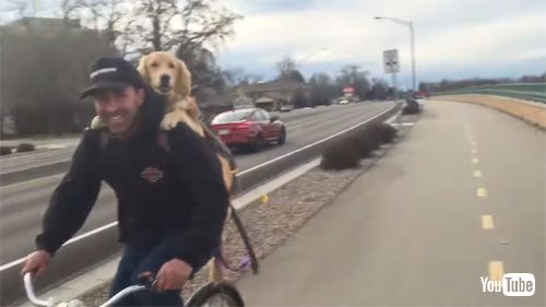 おんぶを満喫し続けるワンコワンコ