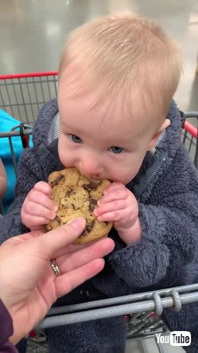 「Little Baby Gets Obsessed With Chocolate Chip Cookie - 1366850」
