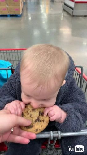 「Little Baby Gets Obsessed With Chocolate Chip Cookie - 1366850」