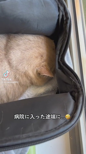 病院に着いた途端伏せ