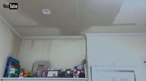 中川翔子の亡父・中川勝彦の遺品が飾られた棚