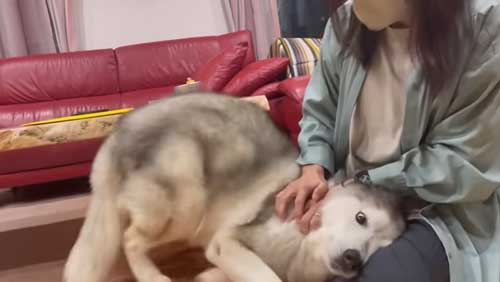 びっくりするお姉さん