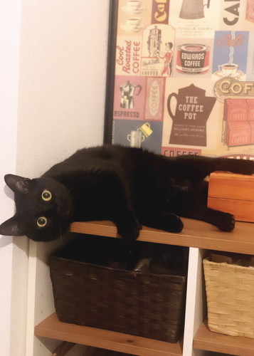 横になるこねろくくん