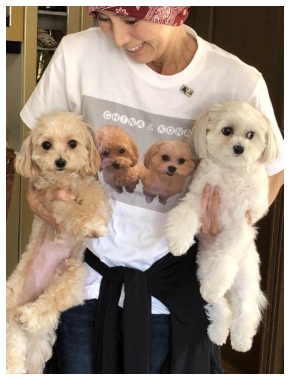 犬とたわむれる秋野暢子