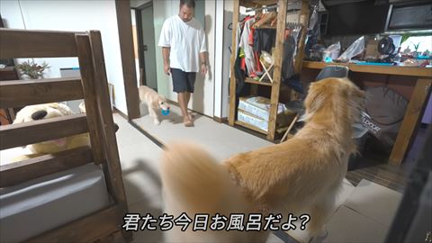 今日お風呂だよテロップ