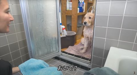 おいでテロップ