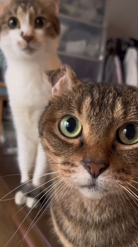 真顔でカメラ目線ふたり