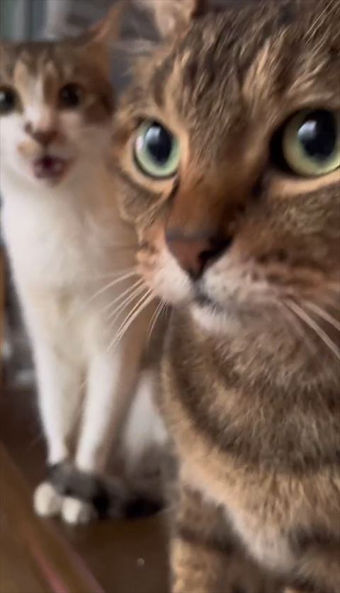 立ちがるふたり