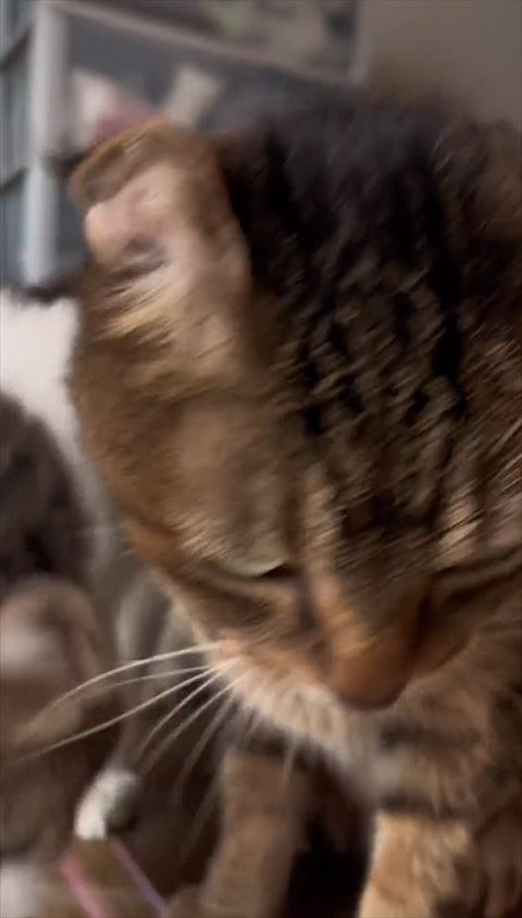 アップのふたり