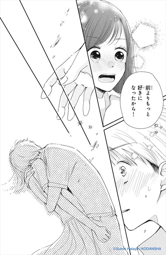 拝啓、伝書鳩さま