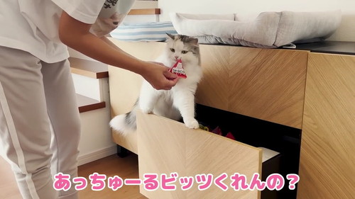 ちゅーるくれんの