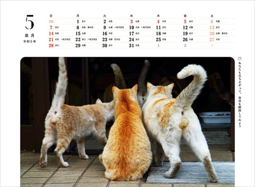 にゃんたまカレンダー5月