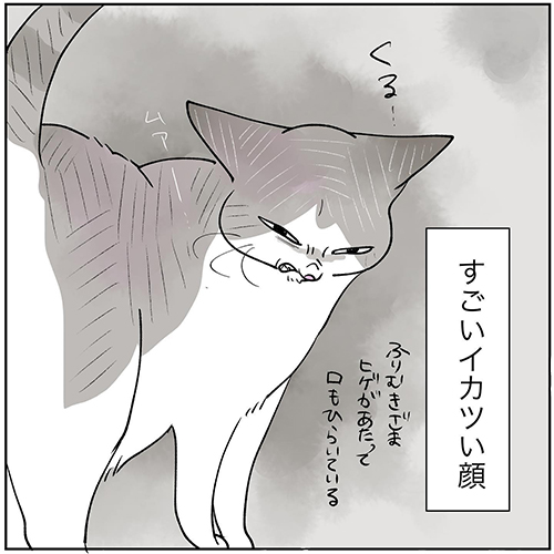 嫌なものはイヤ表紙